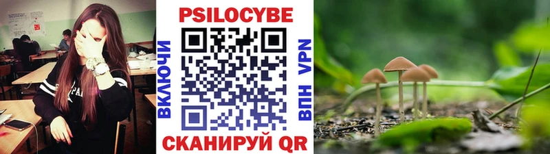 Галлюциногенные грибы Cubensis  цены наркотик  Домодедово 